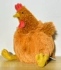 Hen (higher version in stock)