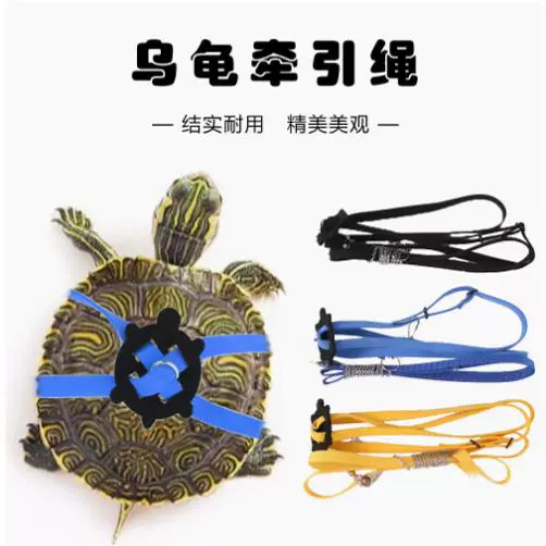 Бесплатная доставка черепаха веревка черепаха веревка черепаха веревка водяная черепаха веревка черепаха веревка черепаха веревка домашнее животное