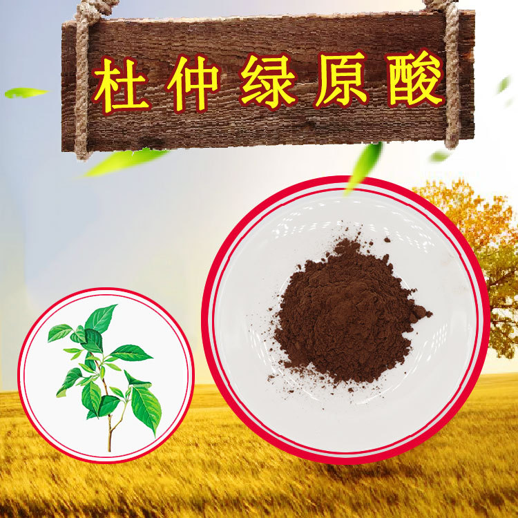 杜仲绿原酸5%~98%现货包邮杜仲叶提取物100g/袋杜仲皮提取物