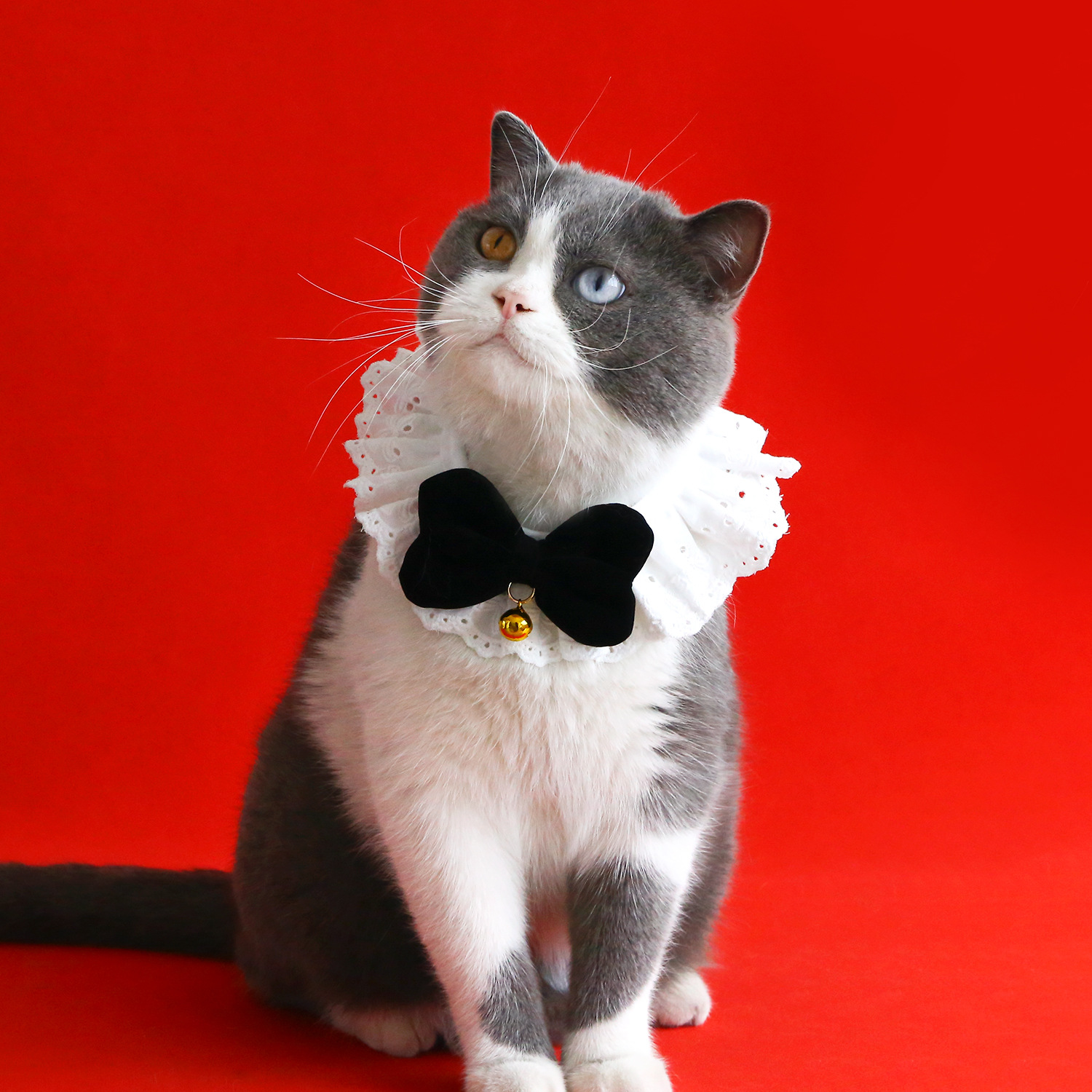 Pantalones de encaje de mascotas plegados princesa seda arco de Año Nuevo collar gato perro collar rojo de Navidad