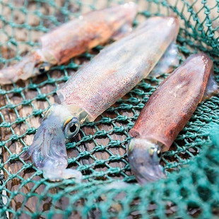 ʮ��𒡾5���b����С���~��С�����r��С�����r�P��������rˮ�a