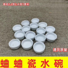 蛐蛐罐 蟋蟀盆 水碗 水 水盂 水盆 爬虫 用具 价格便宜走量