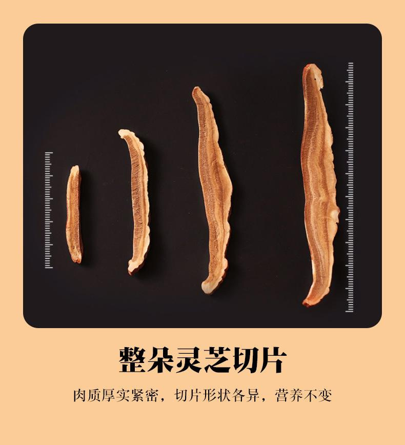 Lingzhi Reishi Mushroom Slices Ganoderma lucidum Dried Herbal Slices for Tea and Decoction 100g Jar in use