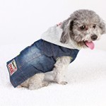 宠物衣服秋冬新款牛仔连帽棉衣狗泰迪法斗柯基犬两脚工厂加厚比熊