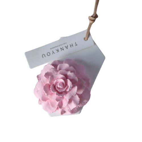 Mother's Day Fashion Creative Gift Carnation Diffuser Stone Perfume Diffuser Car Pendant 