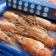 ̩���M���_���r ����_���r �_���r���l 6ֻ/�У�500g��ÿ��10��