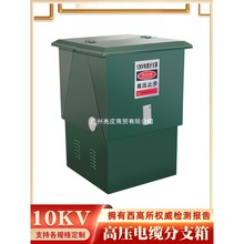 �|�10KV�Wʽ����^ �����D�ӷֽ��� t�����ͽ��^ �߉���|��֧��