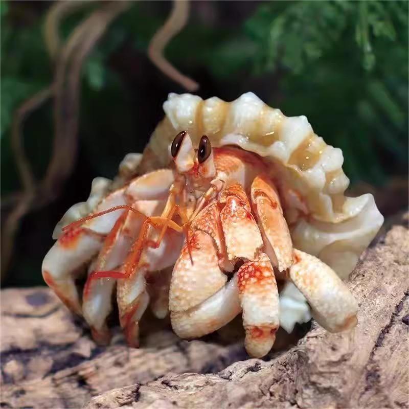 ed42fc0c-93d8-4949-af8b-b836c30104f4.jpe