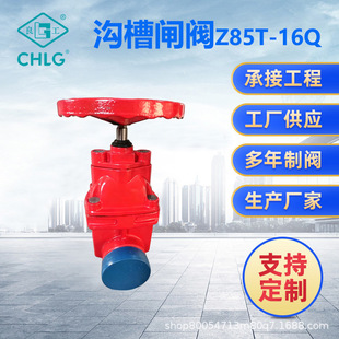 �S�ҬF؛����Z85T-16Q�ϲ��l�y FDZ45H���I�l�y �����y
