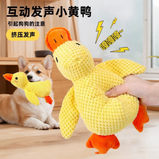 ������߽␞�l��ҧС��ĥ���l�␞����l��˯ë�q�������
