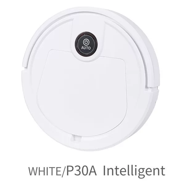 P30A English version