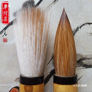 �Ǻ������п�һ����̖�����Е��f���W���I���ë�P�������ֲ�ñ��