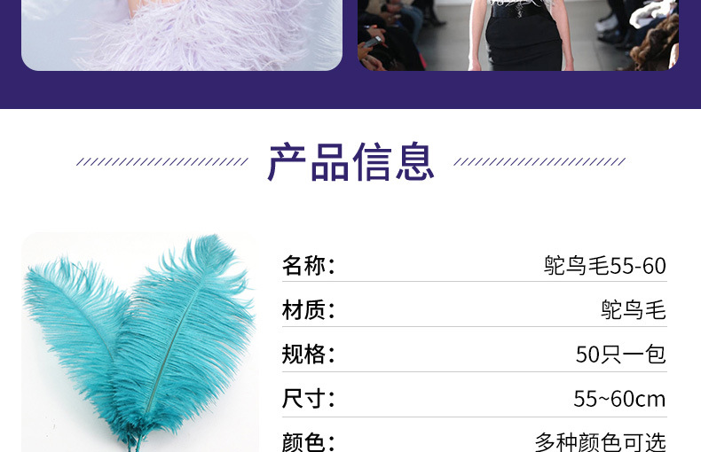 鸵鸟毛55-60_05