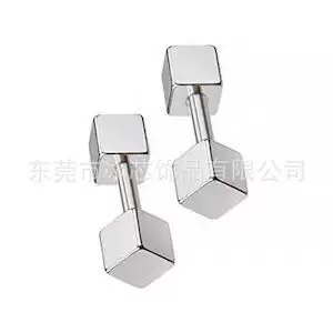 Trendy Popular Titanium Steel Earrings for Ear Piercing and Ear Cartilage Studs Factory Wholesale