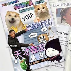 严选天才疯子贴纸书趣味热梗创意抽象恶搞素材切膜咕卡装饰贴纸