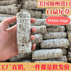 白鼠尾草美国加州White Sage捆绑香薰杖净化空间龙血草雪松杖圣木