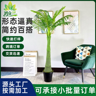 ���Ʒ��晉�Ƙ�����٘�͏d�Ƶ��҃��b[���پGֲ�辰�����
