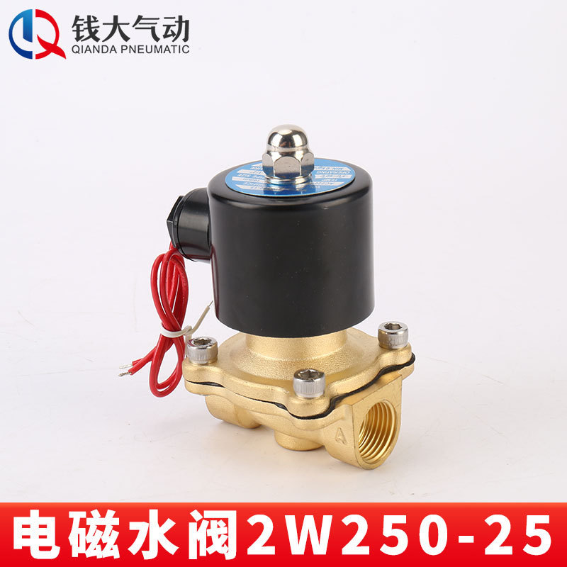 220v水中噴水直動式常閉電子制御スイッチバルブ電子弁水弁水用電磁弁銅弁|undefined