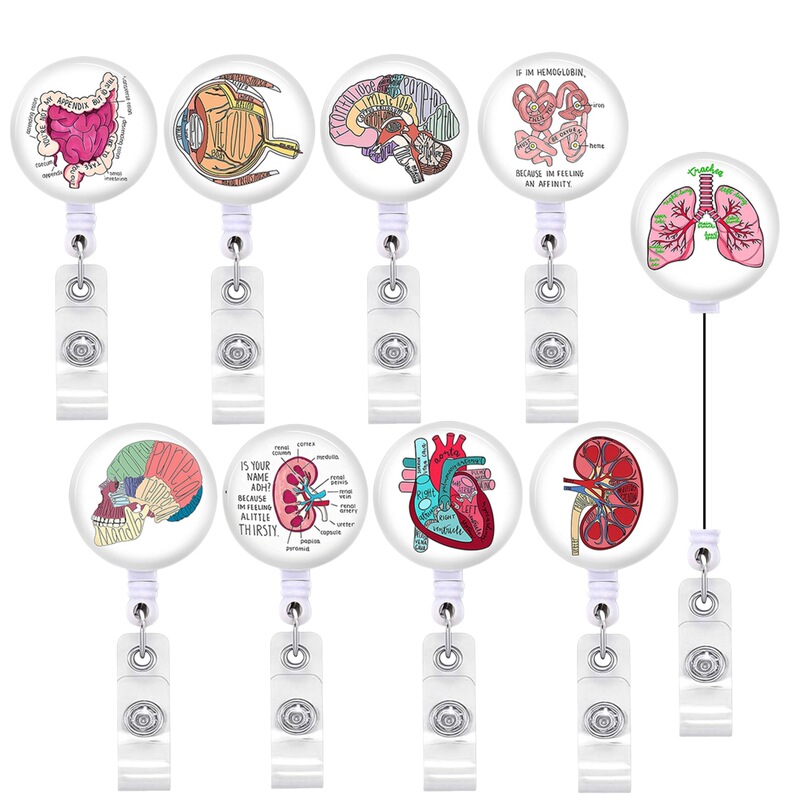 In-Stock Easy-Pull Retractable Badge Holder for Heart, Brain, and Gastrointestinal Organs, Suitable for Doctors and Nurses In-Stock Easy-Pull Retractable Badge Holder for Heart, Brain, and Gastrointestinal Organs, Suitable for Doctors and Nurses