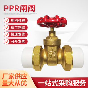 热熔PPR双活接闸阀PE活接阀门止水阀自来水开关铜截止阀水管配件-阿里巴巴