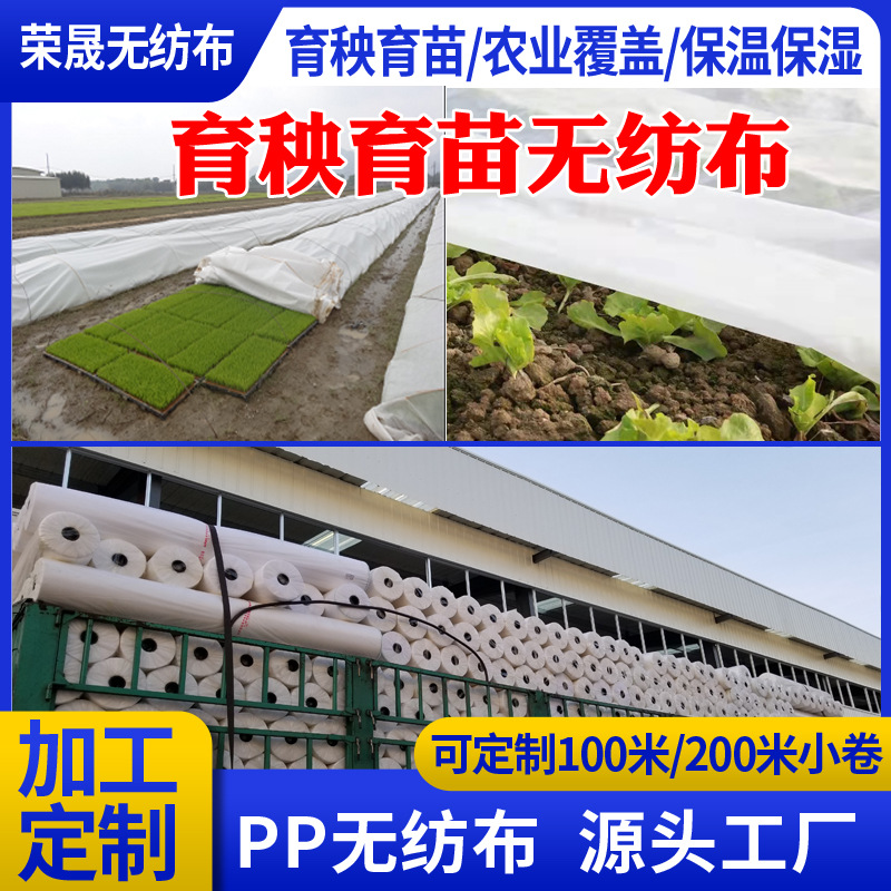 厂家现货直供育苗灌溉无纺布 覆盖保温保湿布丰收布透气防霜农用
