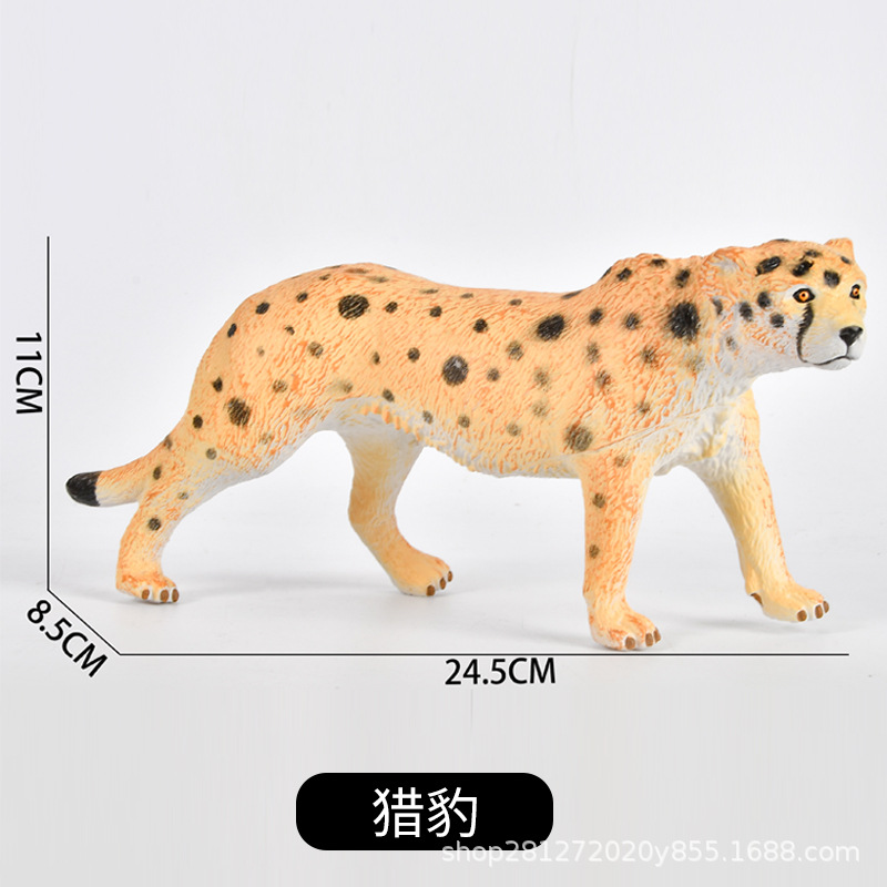 미디엄-치타 [소프트]