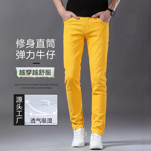 ��͏���ţ��ѝ���Sɫ�F������������������С����ɫ�����Lѝ