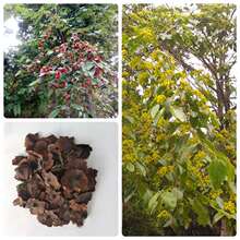 �~�X��N�ӽ��X�ɷN�ӽ��X��u�X����X�ʷN�G����ľ�N���ļ�ͥԺ