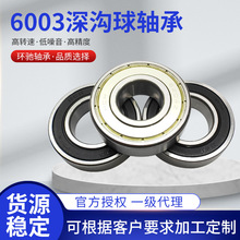 6003深沟球轴承批发轴承钢超精微型密封双铁盖双胶盖深沟球轴承