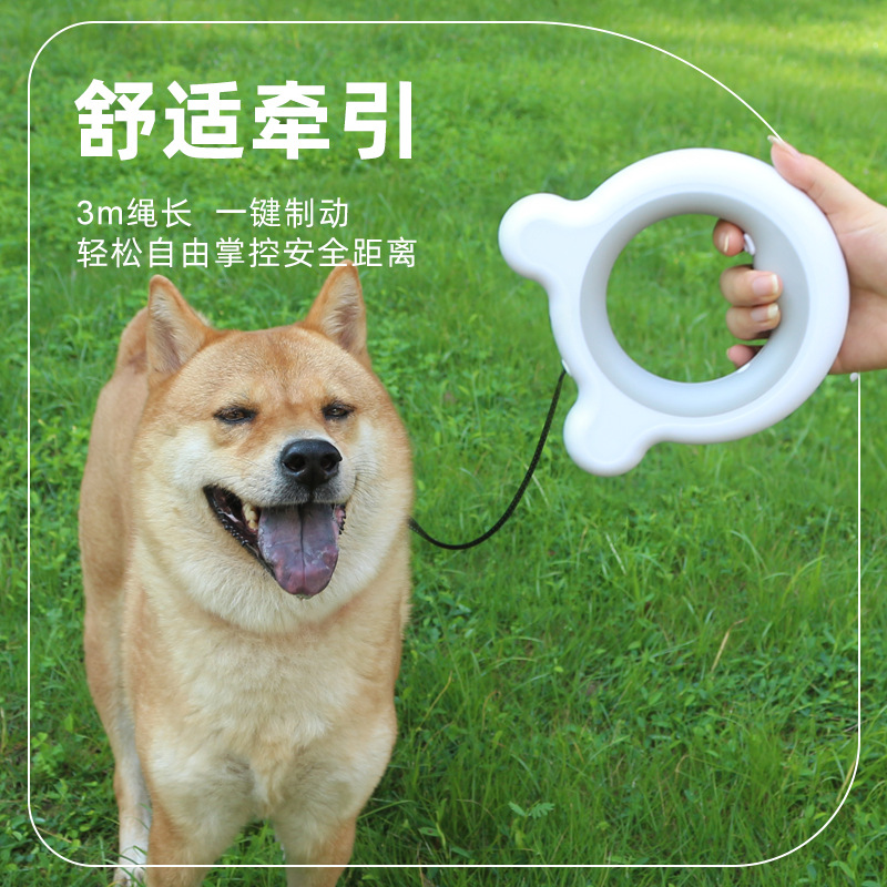 Correa Retráctil para Perros de Plástico, Retráctil, para Paseo de Perros image 1
