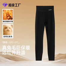 �ýq������ůѝ���ѝŮ�½q��ѝ�ӽqѝ��ů���±�ů�¶�ĸ��A�