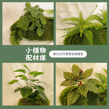 ɭ���gֲ���쾰�Gֲ�b���΢���^ܛ�bާ�ݴ��了�s�L���b[��