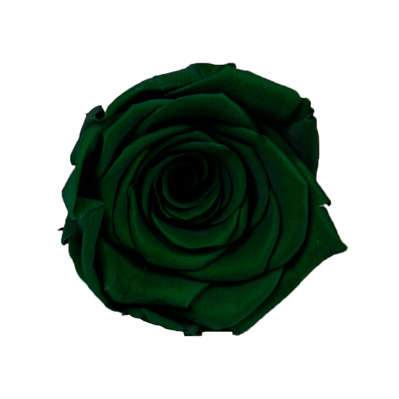 4-5cm 8 Flores, grado B DIY flores eternas, rosas eternas, Yunnan Kunming al por mayor, flores preservadas