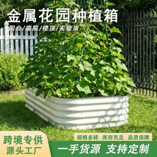 �羳���ٷNֲ���@�ֻ��@¶�I���ٲ˴��N�˴��Nֲ��󻨈@�߲���