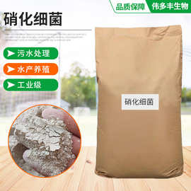 硝化细菌降亚硝酸盐氨氮COD净水污水处理海水淡水水产养殖用