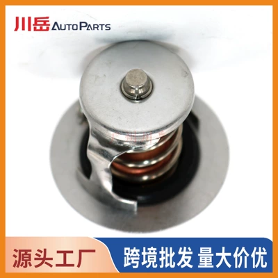 Thermostat for Toyota engine