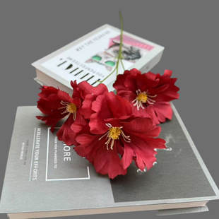 ����3�^�mϦ���m���ٻ���Y�ò������컨��ˇ�廨�ҾӔzӰ�b�
