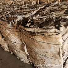 河北牛皮 出口印度尼西亚 干灰皮 黄牛皮 二层皮干灰皮  源头厂家