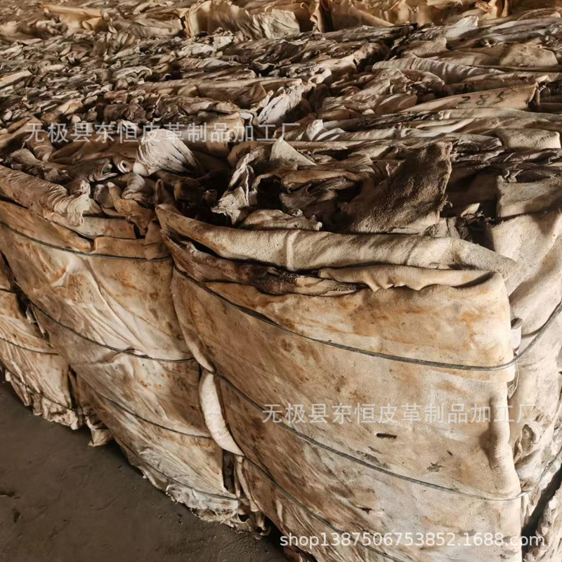 河北牛皮 出口印度尼西亚 干灰皮 黄牛皮 二层皮干灰皮  源头厂家