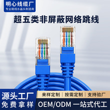������������˫���� CAT5E���� 1������ ����������
