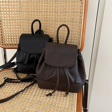 �r�д�W�����n�p�����Ů2026�¿�ٴ�����С����������а�����