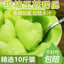 山东玉菇甜瓜新鲜水果应季头茬现摘软糯香甜蜜瓜脆瓜香瓜批发