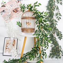 �羳 ����ֲ���ٗl�ٻ��G�~����������Y�b��������~ �����ٗl