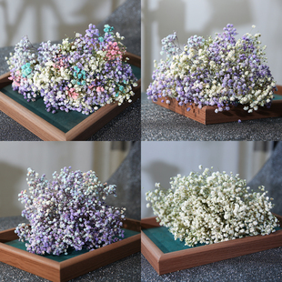 �����ͬ��ɭϵ�����ɻ��^�M���ǻ��������^鼆�Y�������հl