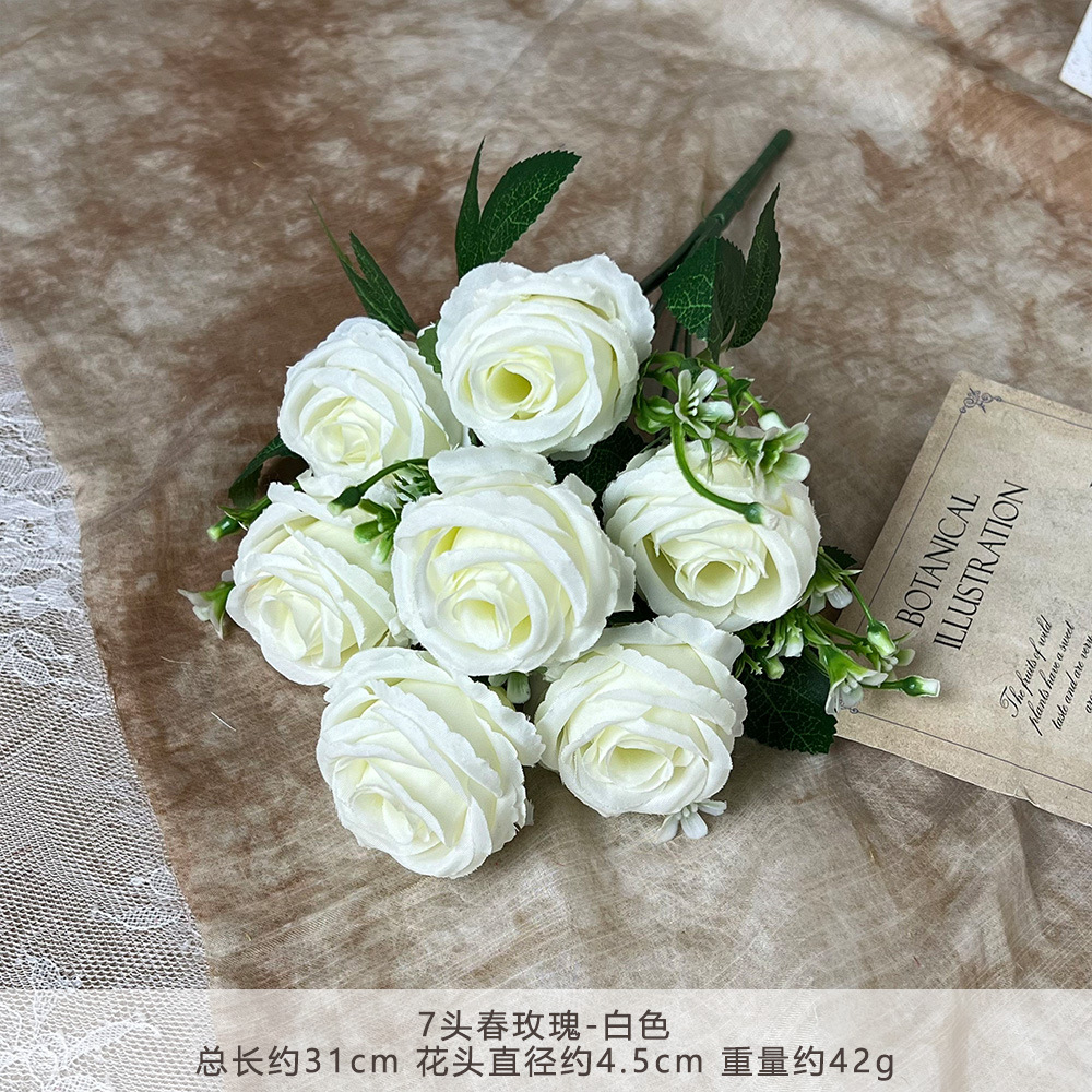 Rosas RLY-7 primavera-Blanco