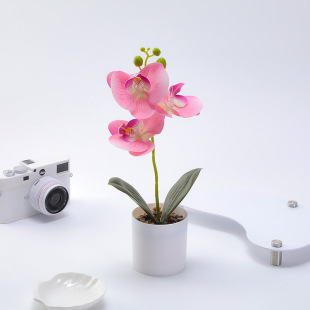 ���滨�����m���� ܛ�z3�^��������m���b�ٻ��͏d���P�Gֲ�[��