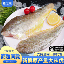黄花鱼鱼柳大黄鱼原切冷冻黄鱼鲞黄鱼排鱼片去骨去刺去脏商用