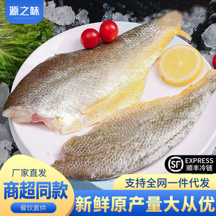 �S���~�~�����S�~ԭ������S�~���S�~���~Ƭȥ��ȥ��ȥ�K����
