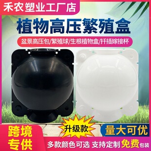 ֲ��߉��� ��ֳ�� Ǥ��޽���������ֳ��@�ֈ@ˇ���䉺֦�߉���