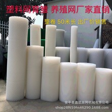 厂家供应全新塑料网宠物脚垫宠物防逃防护网养殖塑料围栏网网孔